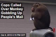Cops Called Over Monkey Gobbling Up People&#39;s Mail