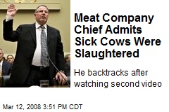 Meat Company Chief Admits Sick Cows Were Slaughtered