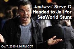 Jackass &#39; Steve-O Headed to Jail for SeaWorld Stunt