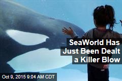 SeaWorld Has Just Been Dealt a Killer Blow