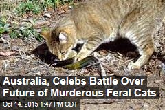 Australia, Celebs Battle Over Future of Murderous Feral Cats