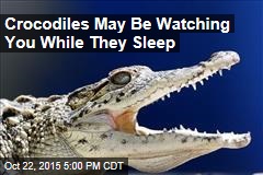 Crocodiles May Be Watching You While They Sleep