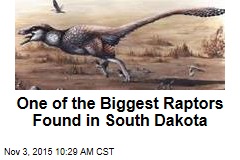 One of the Biggest Raptors Found in South Dakota