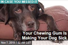 Your Chewing Gum Is Making Your Dog Sick