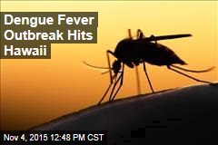 Dengue Fever Outbreak Hits Hawaii