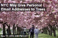 NYC May Give Personal Email Addresses to Trees