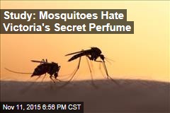 Study: Mosquitoes Really Hate Victoria&#39;s Secret Perfume