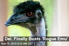 Del. Finally Busts &#39;Rogue Emu&#39;