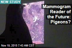 Pigeons Quickly Learn to Read Mammograms