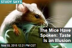 The Mice Have Spoken: Taste Is an Illusion