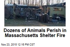 Dozens of Animals Perish in Massachusetts Shelter Fire