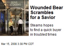 Wounded Bear Scrambles for a Savior
