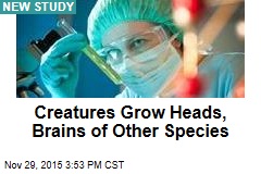 Creatures Grow Heads, Brains of Other Species