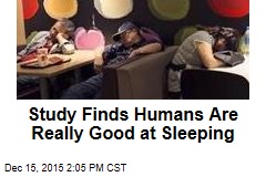 Study Finds Humans Are Really Good at Sleeping
