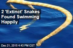 2 &#39;Extinct&#39; Snakes Found Swimming Happily