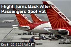 Flight Turns Back After Passengers Spot Rat