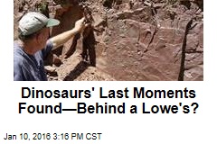 Only &#39;Dinosaur Extinction Site&#39; Is Behind a Lowe&#39;s