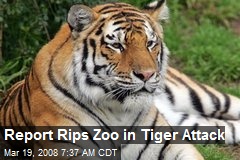 Report Rips Zoo in Tiger Attack