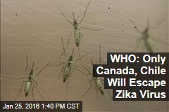 Zika Virus Will Spread Across Much of the Americas: WHO