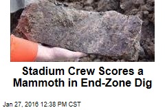 Stadium Crew Scores a Mammoth in End-Zone Dig