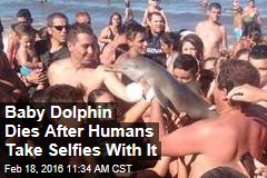 Baby Dolphin Dies After Humans Take Selfies With It