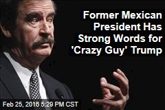 Former Mexican President Has Strong Words for &#39;Crazy Guy&#39; Trump