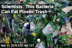 Scientists: This Bacteria Can Eat Plastic Trash
