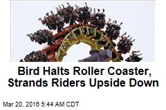 Bird Halts Roller Coaster, Strands Riders Upside Down