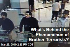 What&#39;s Behind the Phenomenon of Brother Terrorists?