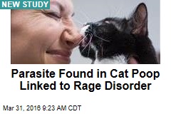 Parasite Found in Cat Poop Linked to Rage Disorder