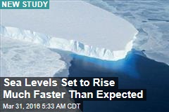Sea Levels Set to Rise Much Faster Than Expected