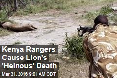 Kenya Rangers Cause Lion&#39;s &#39;Heinous&#39; Death