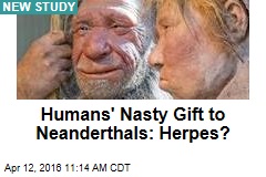Humans&#39; Nasty Gift to Neanderthals: Herpes?