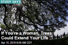 If You&#39;re a Woman, Trees Could Extend Your Life