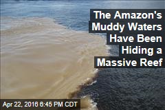 The Amazon&#39;s Muddy Waters Have Been Hiding a Massive Reef