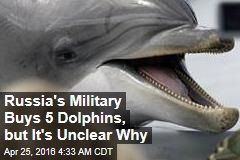 Russia&#39;s Military Buys 5 Dolphins, but It&#39;s Unclear Why