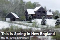 This Is Spring in New England