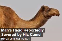 Man&#39;s Head Reportedly Severed by His Camel