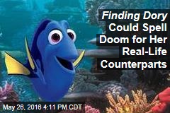 Finding Dory Could Spell Doom for Her Real-Life Counterparts