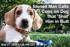 Stoned Man Calls Cops on Dog That &#39;Shot&#39; Him in Butt
