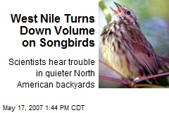 West Nile Turns Down Volume on Songbirds