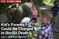 Kid&#39;s Parents Could Be Charged in Gorilla Death