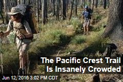 The Pacific Crest Trail Is Insanely Crowded