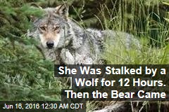 She Was Stalked by a Wolf for 12 Hours. Then the Bear Came