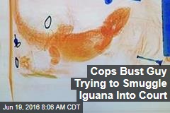 Cops Bust Guy Trying to Smuggle Iguana Into Court