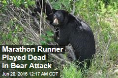 Bear Attacks Marathon Runner