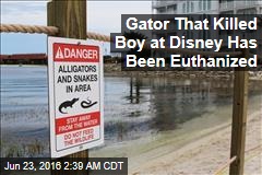 Gator That Killed Boy at Disney Has Been Euthanized