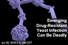 Emerging Drug-Resistant Yeast Infection Can Be Deadly