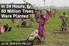 In 24 Hours, 50 Million Trees Were Planted