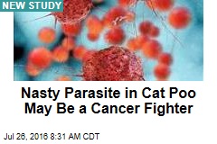 Nasty Parasite in Cat Poo May Be a Cancer Fighter